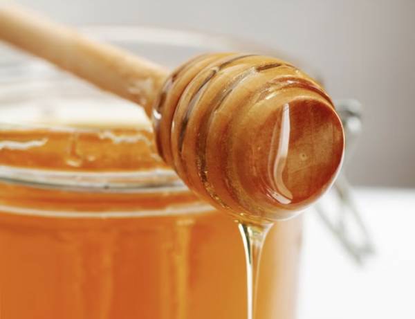 Μελισσοκομικός Σύλλογος Ξάνθης: σεμινάριο μελισσοκομίας – δηλώσεις συμμετοχής Μελισσοκομικός Σύλλογος Ξάνθης: σεμινάριο μελισσοκομίας – δηλώσεις συμμετοχής